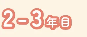 2-3年目